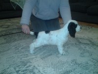 /album/patu/patun-seisonta-096-jpg/